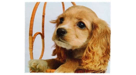 PET C19 (267993)