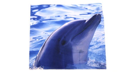 WD48 dolphin (34823)