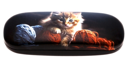 H6017 Brown cat (375879)